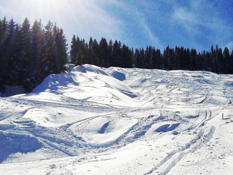 Winter in Scheffau